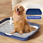 Large Indoor Dog Toilet Training Tray - Image 2