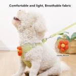 Floral Breathable Dog Harness With Leash - Image 2