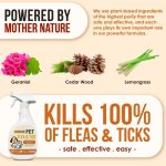 NanoVet Flea And Tick Pet Spray 500ml - Image 2